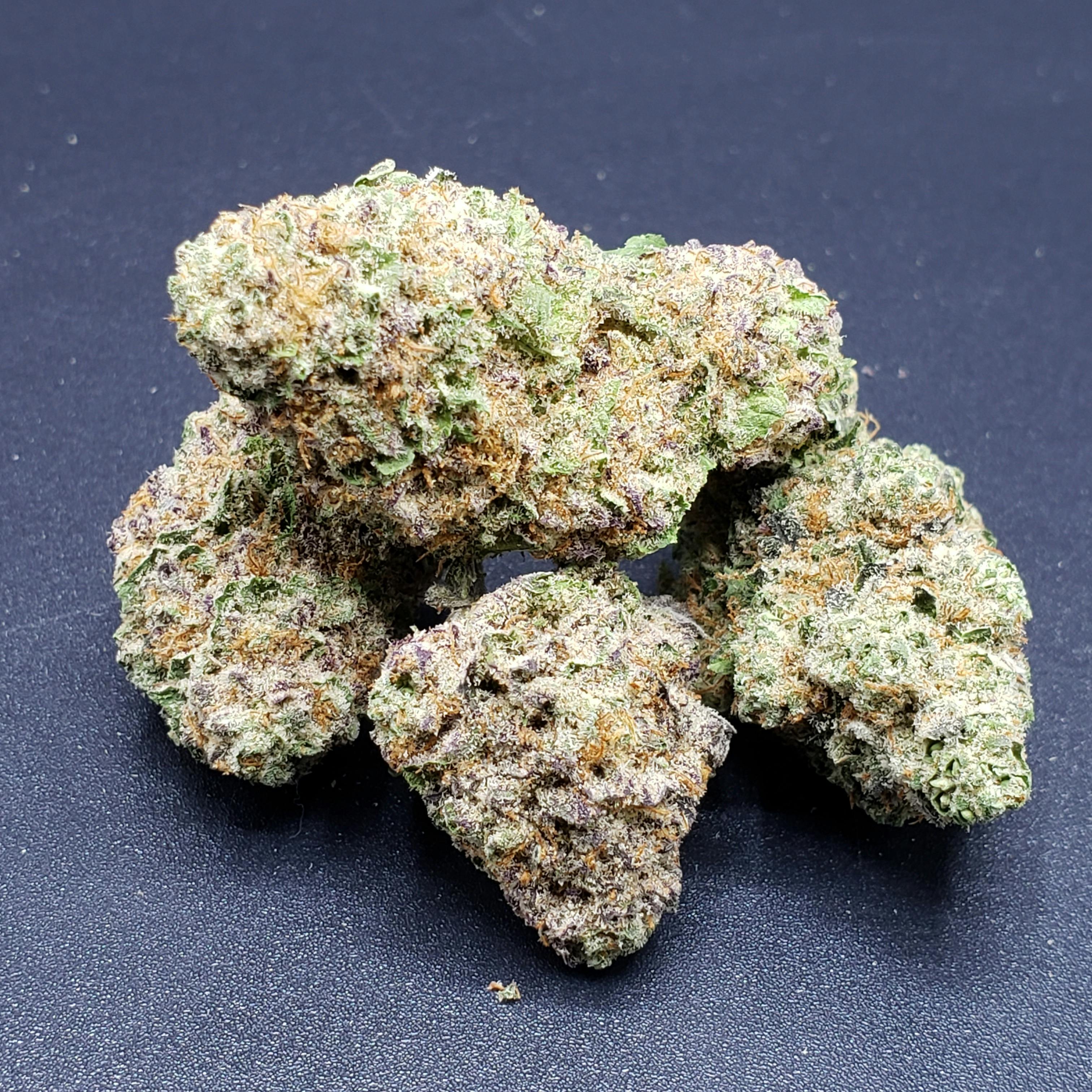 (MED) Mimosa